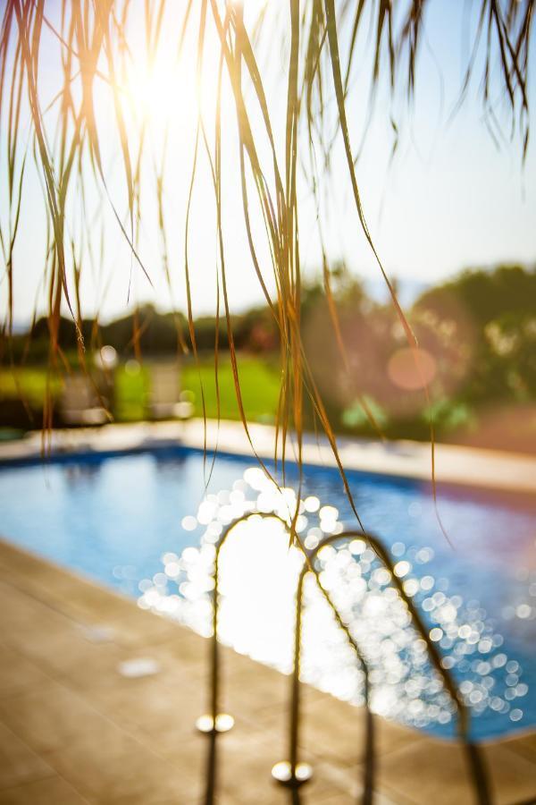 Martimi Apartments - 200M From Drapanias Beach - Pool - Hot Tub - Sauna - Bbq Kíssamos Dış mekan fotoğraf
